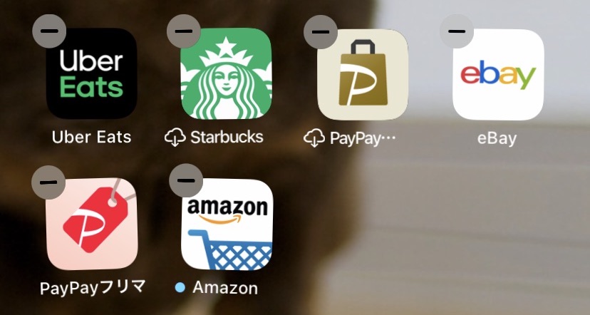 /wp-content/uploads/2020/10/applibrary-delapp2.jpg